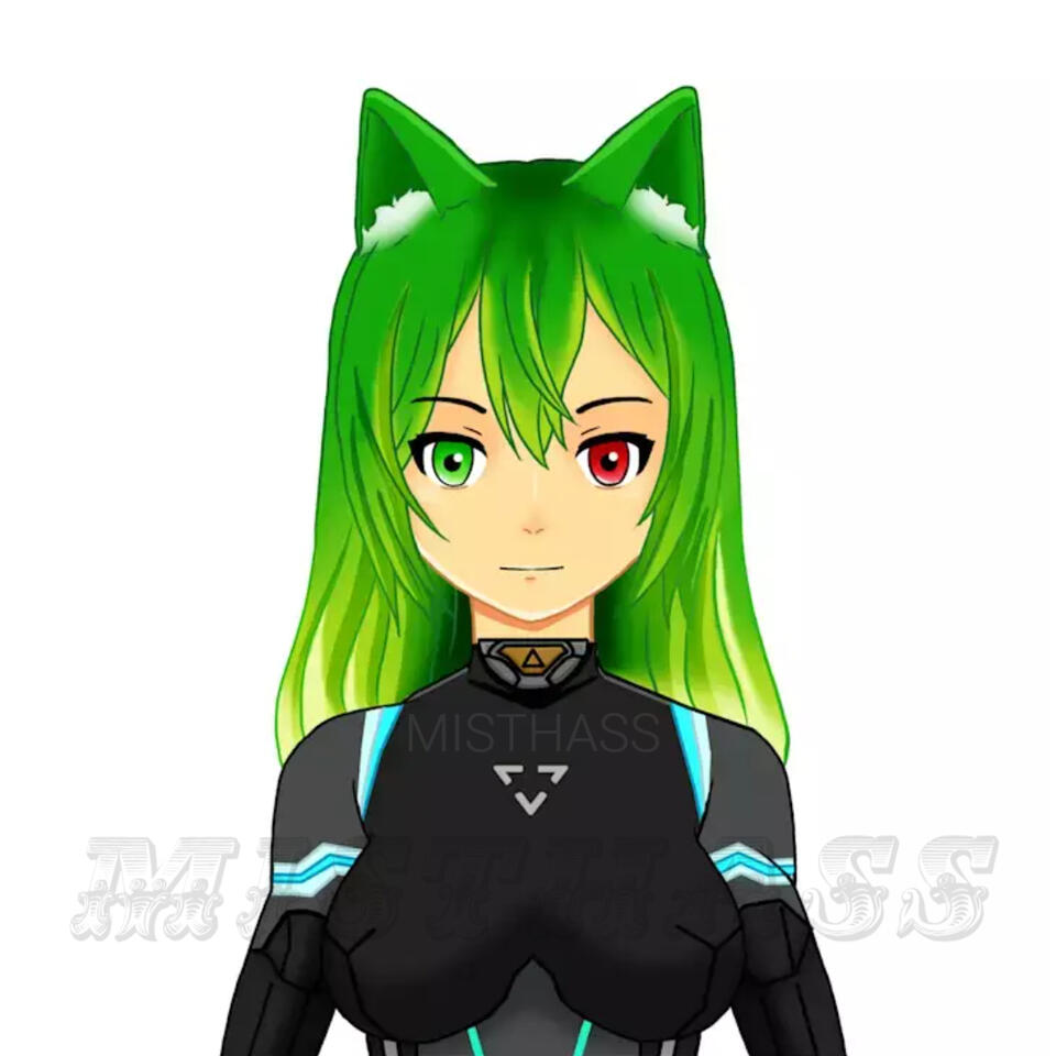 Half body model